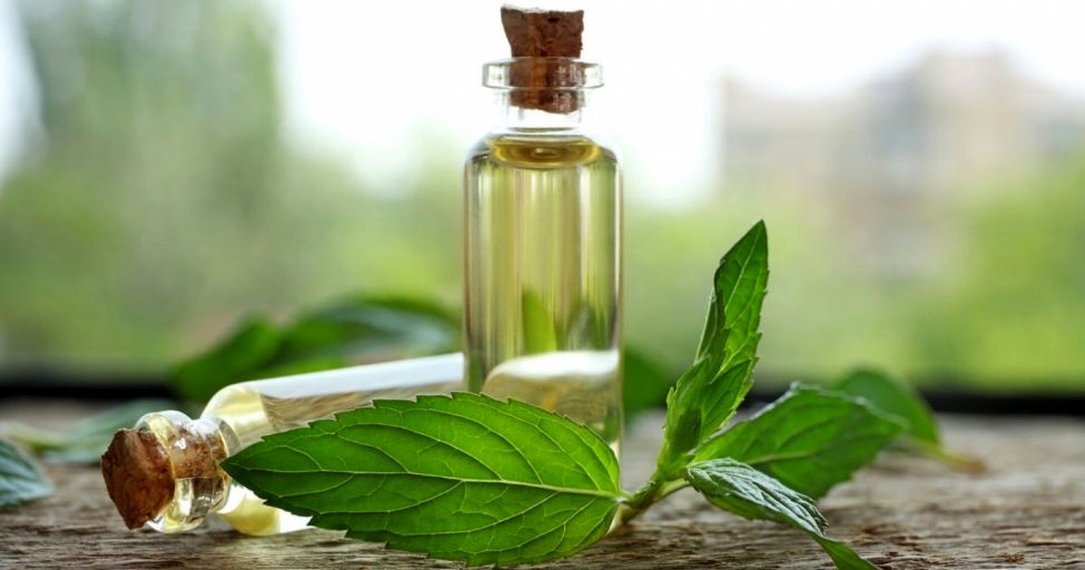 معرفی پرکاربردترین روغن های گیاهی  و اثرات آن‌ها بر پوست و مو