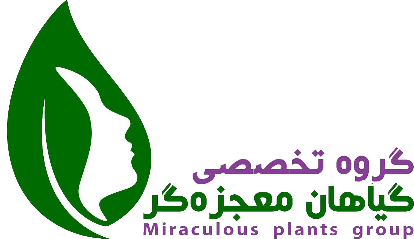 فشیال صورت در تهرانسر