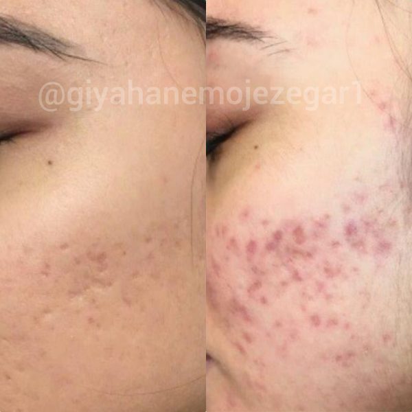 Polish_۲۰۲۲۰۹۰۳_۰۲۲۶۰۳۸۸۹