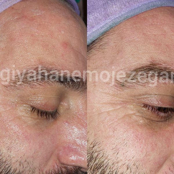 Polish_۲۰۲۲۱۱۰۹_۱۸۴۳۱۵۳۱۶