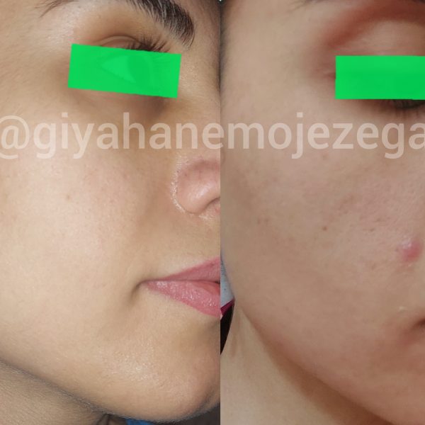 Polish_۲۰۲۲۱۱۱۲_۱۱۵۴۰۵۴۱۷